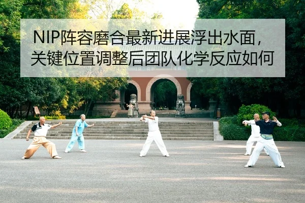 NIP阵容磨合最新进展浮出水面，关键位置调整后团队化学反应如何